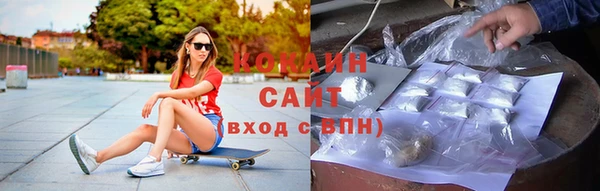 шишки Краснослободск