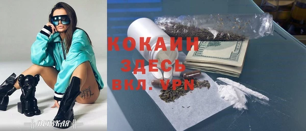 шишки Краснослободск