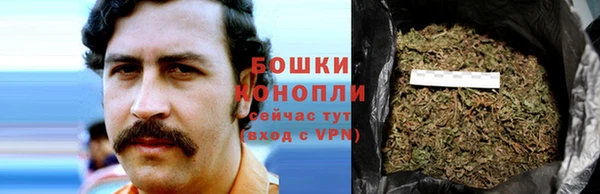 шишки Краснослободск