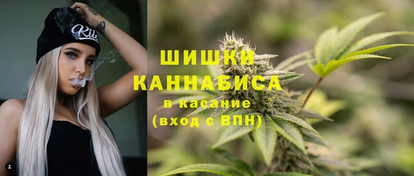 шишки Краснослободск