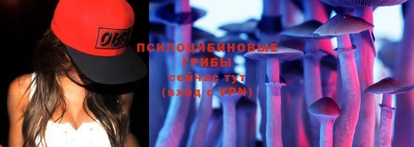 мдпв Красноперекопск