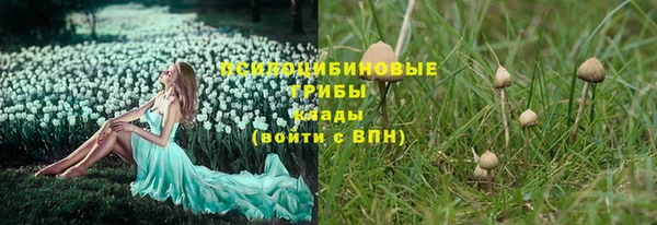 мдпв Красноперекопск
