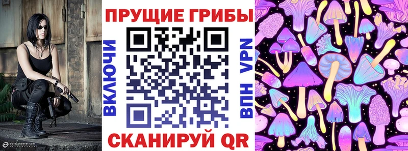 магазин продажи наркотиков  Лосино-Петровский  blacksprut ТОР  Псилоцибиновые грибы Psilocybe 