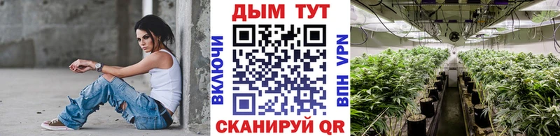 Конопля ГИДРОПОН Лосино-Петровский
